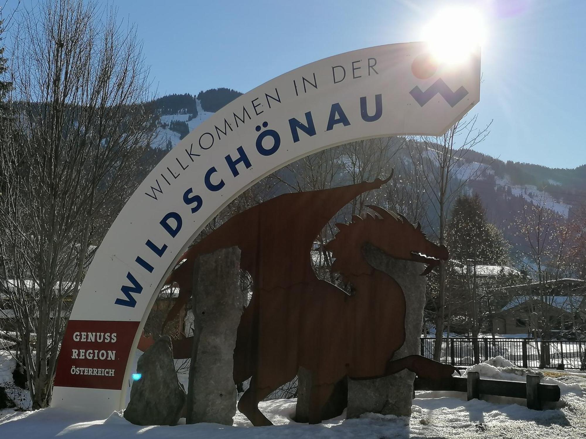 Gittis Ferienwohnung Panorama Wild31 Bernau (Kufstein) Exterior foto